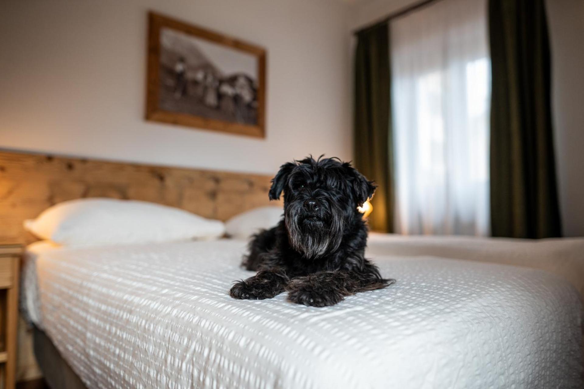 Hotel Panda Cortina- Ricarica Auto Elettriche Cortina dʼAmpezzo Kültér fotó